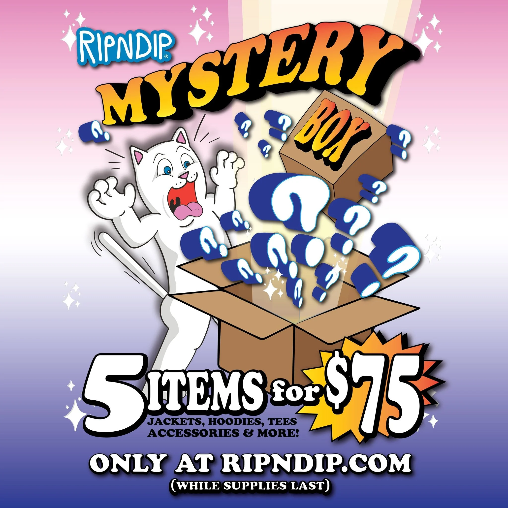 $75 Mystery Box